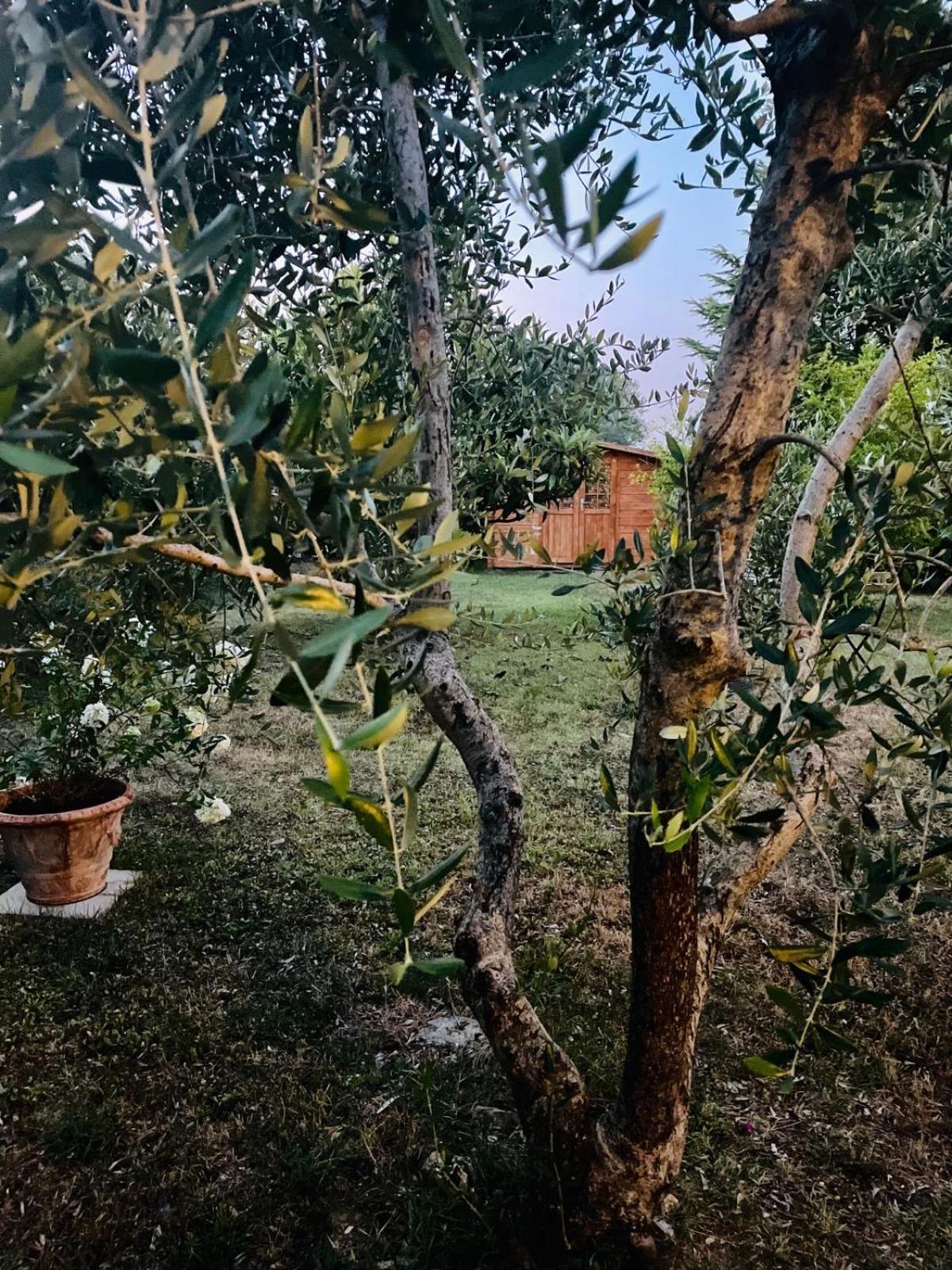 Rosso Del Chianti Bed & Breakfast Panzano in Chianti Exterior foto